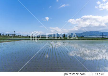 山脈和稻田景觀 山脈和稻田景觀 139337305