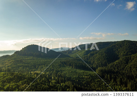 Aerial view of green mountain hills covered with evergreen spruce forest in summer. Aerial view of green mountain hills covered with evergreen spruce forest in summer. 139337611