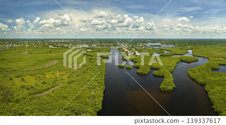 Aerial view of Florida wetlands with green vegetation between ocean water inlets and distant residential houses. Natural habitat of many tropical species Aerial view of Florida wetlands with green vegetation between ocean water inlets and distant residential houses. Natural habitat of many tropical species 139337617