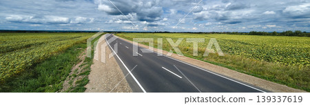 Aerial view of empty intercity road between green agricultural fields. Top view from drone of highway roadway Aerial view of empty intercity road between green agricultural fields. Top view from drone of highway roadway 139337619