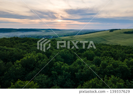 Aerial view of dark green lush forest with dense trees canopies in summer 139337629