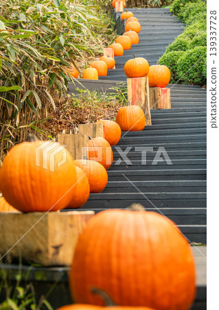 Halloween pumpkin image Halloween pumpkin image 139337728