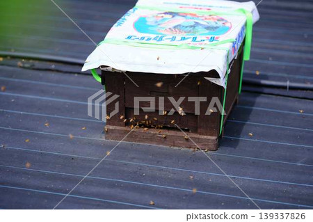 Beekeeping Beekeeping 139337826