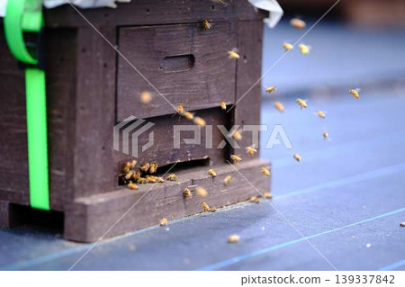 Beekeeping Beekeeping 139337842