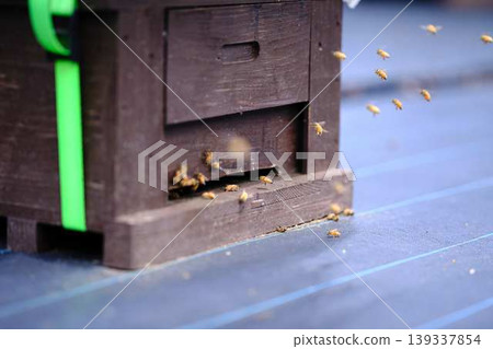 Beekeeping Beekeeping 139337854