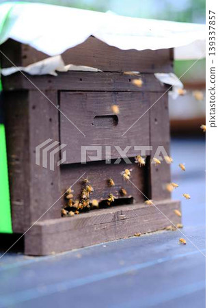 Beekeeping Beekeeping 139337857