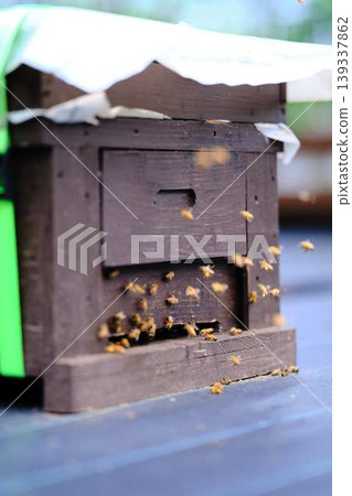Beekeeping Beekeeping 139337862