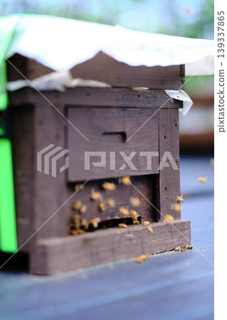 Beekeeping Beekeeping 139337865