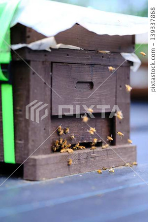 Beekeeping Beekeeping 139337868