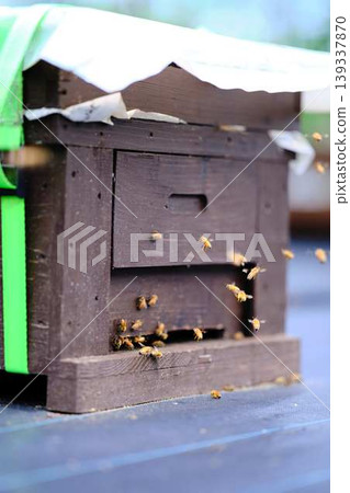 Beekeeping Beekeeping 139337870