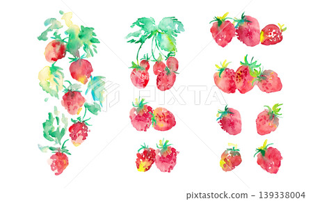 春季草莓插畫。水彩畫。水彩風格的草莓向量插圖。手繪草莓材。 春季草莓插畫。水彩畫。水彩風格的草莓向量插圖。手繪草莓材。 139338004