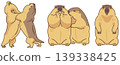 A set of vector illustrations of squishy marmots. 139338425