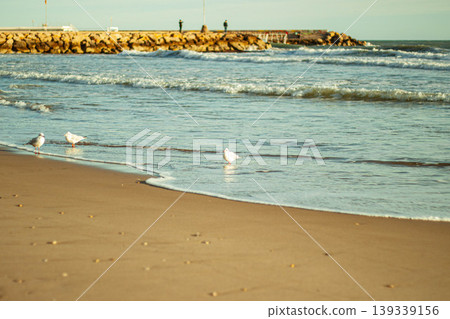 Seagulls on sandy beach in Sitges with gentle waves and Mediterranean coastline Seagulls on sandy beach in Sitges with gentle waves and Mediterranean coastline 139339156