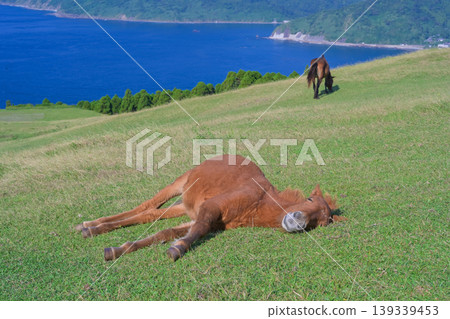 Cape Toki海角馬 Cape Toki海角馬 139339453