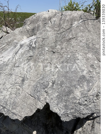 Limestone of karst landscapes Limestone of karst landscapes 139339830