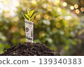Small plant growing from rolled up one hundred dollar bill in soil 139340383