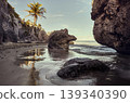 Palm tree reflecting on the beach of tulum, mexico at sunset 139340390