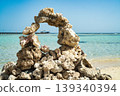 Dead coral structure forming arch on marsa alam beach 139340394
