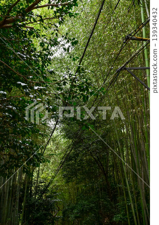 The view of Arashiyama Bamboo Forest aka Arashiyaman Bamboo Grove in Kyoto, Japan. One of Japan's most famous tourist attraction. Bamboo landscape. Travel and nature concept. The view of Arashiyama Bamboo Forest aka Arashiyaman Bamboo Grove in Kyoto, Japan. One of Japan's most famous tourist attraction. Bamboo landscape. Travel and nature concept. 139340432