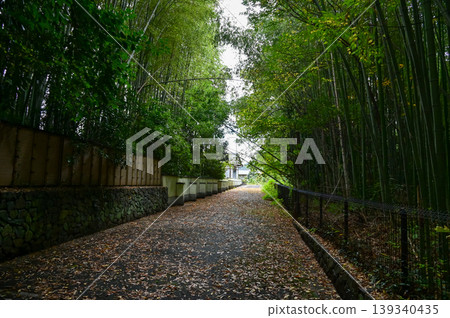 The view of Arashiyama Bamboo Forest aka Arashiyaman Bamboo Grove in Kyoto, Japan. One of Japan's most famous tourist attraction. Bamboo landscape. Travel and nature concept. The view of Arashiyama Bamboo Forest aka Arashiyaman Bamboo Grove in Kyoto, Japan. One of Japan's most famous tourist attraction. Bamboo landscape. Travel and nature concept. 139340435