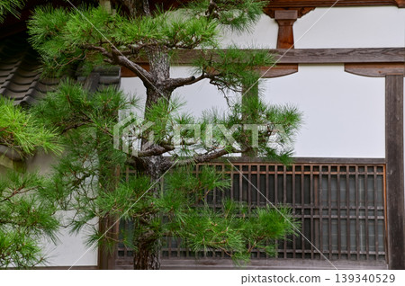 The garden scene of Tenryuji Temple at autumn. Famous temple in Japan. Tenryuji Temple is a Japanese traditional temples in Kyoto. Autumn and garden view. Nature and Travel concept. The garden scene of Tenryuji Temple at autumn. Famous temple in Japan. Tenryuji Temple is a Japanese traditional temples in Kyoto. Autumn and garden view. Nature and Travel concept. 139340529