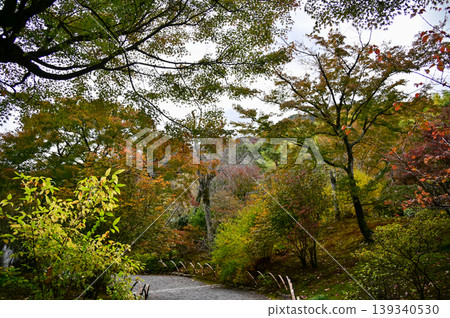 The garden scene of Tenryuji Temple at autumn. Famous temple in Japan. Tenryuji Temple is a Japanese traditional temples in Kyoto. Autumn and garden view. Nature and Travel concept. The garden scene of Tenryuji Temple at autumn. Famous temple in Japan. Tenryuji Temple is a Japanese traditional temples in Kyoto. Autumn and garden view. Nature and Travel concept. 139340530