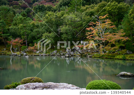 The garden scene of Tenryuji Temple at autumn. Famous temple in Japan. Tenryuji Temple is a Japanese traditional temples in Kyoto. Autumn and garden view. Nature and Travel concept. The garden scene of Tenryuji Temple at autumn. Famous temple in Japan. Tenryuji Temple is a Japanese traditional temples in Kyoto. Autumn and garden view. Nature and Travel concept. 139340544