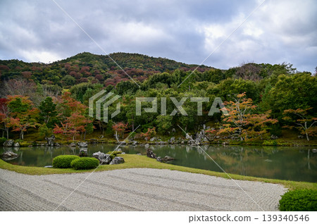The garden scene of Tenryuji Temple at autumn. Famous temple in Japan. Tenryuji Temple is a Japanese traditional temples in Kyoto. Autumn and garden view. Nature and Travel concept. The garden scene of Tenryuji Temple at autumn. Famous temple in Japan. Tenryuji Temple is a Japanese traditional temples in Kyoto. Autumn and garden view. Nature and Travel concept. 139340546