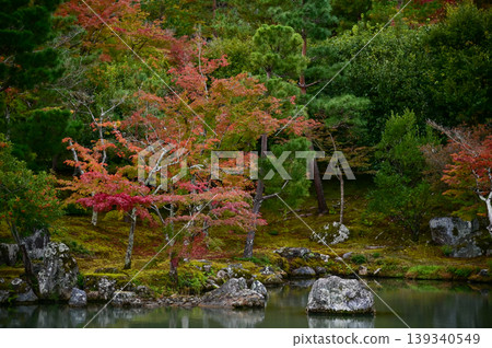 The garden scene of Tenryuji Temple at autumn. Famous temple in Japan. Tenryuji Temple is a Japanese traditional temples in Kyoto. Autumn and garden view. Nature and Travel concept. The garden scene of Tenryuji Temple at autumn. Famous temple in Japan. Tenryuji Temple is a Japanese traditional temples in Kyoto. Autumn and garden view. Nature and Travel concept. 139340549
