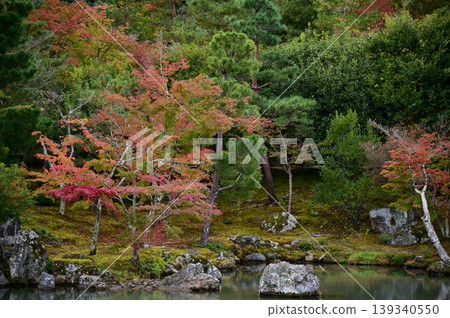 The garden scene of Tenryuji Temple at autumn. Famous temple in Japan. Tenryuji Temple is a Japanese traditional temples in Kyoto. Autumn and garden view. Nature and Travel concept. 139340550
