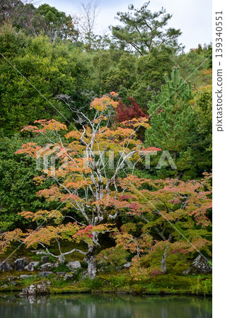 The garden scene of Tenryuji Temple at autumn. Famous temple in Japan. Tenryuji Temple is a Japanese traditional temples in Kyoto. Autumn and garden view. Nature and Travel concept. The garden scene of Tenryuji Temple at autumn. Famous temple in Japan. Tenryuji Temple is a Japanese traditional temples in Kyoto. Autumn and garden view. Nature and Travel concept. 139340551