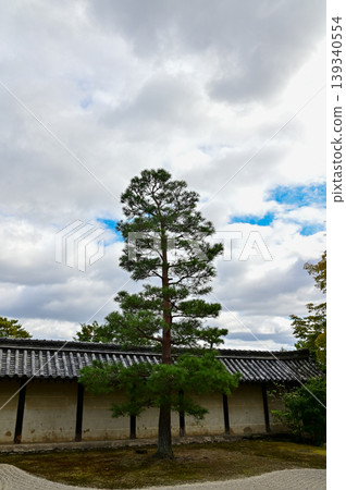 The garden scene of Tenryuji Temple at autumn. Famous temple in Japan. Tenryuji Temple is a Japanese traditional temples in Kyoto. Autumn and garden view. Nature and Travel concept. 139340554