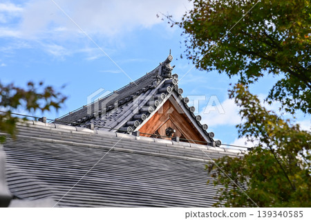 Close-up of the roof of Tenryuji Temple in Kyoto, Japan with trees. Roof tile pattern. Major tourist attraction in Kansai region in Japan. Japan famous historic architecture. Building structure. 139340585