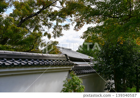 Close-up of the roof of Tenryuji Temple in Kyoto, Japan with trees. Roof tile pattern. Major tourist attraction in Kansai region in Japan. Japan famous historic architecture. Building structure. Close-up of the roof of Tenryuji Temple in Kyoto, Japan with trees. Roof tile pattern. Major tourist attraction in Kansai region in Japan. Japan famous historic architecture. Building structure. 139340587