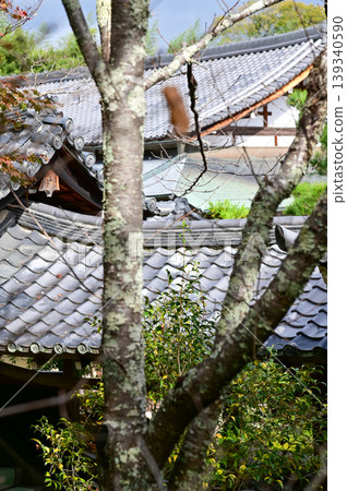 Close-up of the roof of Tenryuji Temple in Kyoto, Japan with trees. Roof tile pattern. Major tourist attraction in Kansai region in Japan. Japan famous historic architecture. Building structure. Close-up of the roof of Tenryuji Temple in Kyoto, Japan with trees. Roof tile pattern. Major tourist attraction in Kansai region in Japan. Japan famous historic architecture. Building structure. 139340590