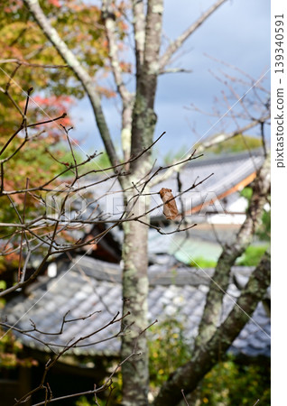 Close-up of the roof of Tenryuji Temple in Kyoto, Japan with trees. Roof tile pattern. Major tourist attraction in Kansai region in Japan. Japan famous historic architecture. Building structure. Close-up of the roof of Tenryuji Temple in Kyoto, Japan with trees. Roof tile pattern. Major tourist attraction in Kansai region in Japan. Japan famous historic architecture. Building structure. 139340591