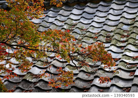 Close-up of the roof of Tenryuji Temple in Kyoto, Japan with trees. Roof tile pattern. Major tourist attraction in Kansai region in Japan. Japan famous historic architecture. Building structure. Close-up of the roof of Tenryuji Temple in Kyoto, Japan with trees. Roof tile pattern. Major tourist attraction in Kansai region in Japan. Japan famous historic architecture. Building structure. 139340593