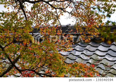 Close-up of the roof of Tenryuji Temple in Kyoto, Japan with trees. Roof tile pattern. Major tourist attraction in Kansai region in Japan. Japan famous historic architecture. Building structure. Close-up of the roof of Tenryuji Temple in Kyoto, Japan with trees. Roof tile pattern. Major tourist attraction in Kansai region in Japan. Japan famous historic architecture. Building structure. 139340594