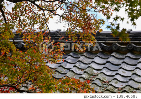 Close-up of the roof of Tenryuji Temple in Kyoto, Japan with trees. Roof tile pattern. Major tourist attraction in Kansai region in Japan. Japan famous historic architecture. Building structure. Close-up of the roof of Tenryuji Temple in Kyoto, Japan with trees. Roof tile pattern. Major tourist attraction in Kansai region in Japan. Japan famous historic architecture. Building structure. 139340595