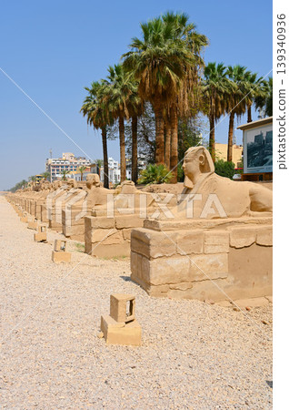 Luxor Temple, Sphinx Street, Luxor Luxor Temple, Sphinx Street, Luxor 139340936