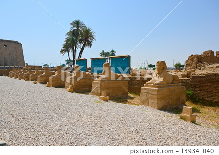 Sphinx Road, Sphinx, Luxor 139341040