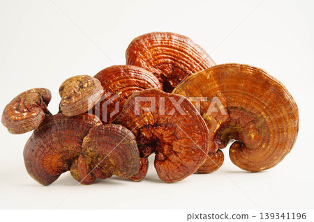 Lingzhi or Reishi mushroom with capsules, organic natural healthy food. Lingzhi or Reishi mushroom with capsules, organic natural healthy food. 139341196