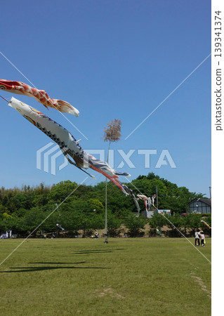 常滑市小湧公園的鯉魚旗 常滑市小湧公園的鯉魚旗 139341374