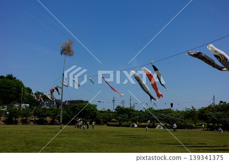 常滑市小湧公園的鯉魚旗 常滑市小湧公園的鯉魚旗 139341375