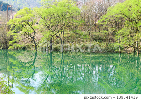 和賀川沿岸美麗的蔥鬱綠意;岩手縣燒地台公園前的沈水森林 和賀川沿岸美麗的蔥鬱綠意;岩手縣燒地台公園前的沈水森林 139341419