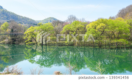 和賀川沿岸美麗的蔥鬱綠意;岩手縣燒地台公園前的沈水森林 和賀川沿岸美麗的蔥鬱綠意;岩手縣燒地台公園前的沈水森林 139341456