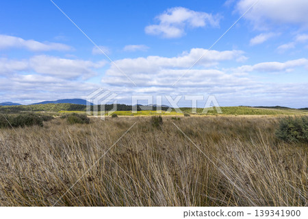A Path Through Wilsons Promontory with blue sky. A Path Through Wilsons Promontory with blue sky. 139341900