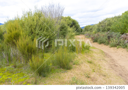 tranquil nature with blue sky at Wilsons Promontory National Park Victoria, Australia. 139342005