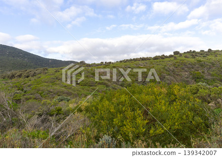 tranquil nature with blue sky at Wilsons Promontory National Park Victoria, Australia. 139342007