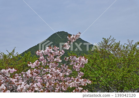 Omi Fuji Sakura Green Space Omi Fuji Sakura Green Space 139342120